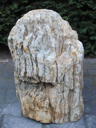 Versteend hout – Lichtbruin – Versteend hout – 53x37x26 cm