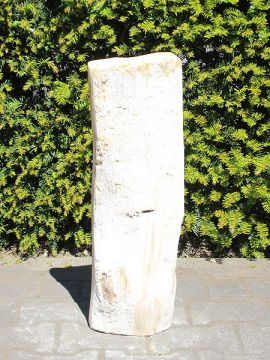 Versteend hout - Lichtbruin - Versteend hout - 61x20x14 cm - Afbeelding 3