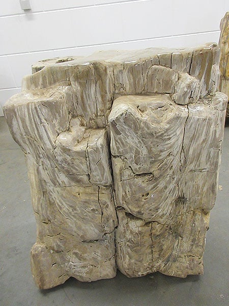 Versteend hout - Lichtbruin - Versteend hout - 70x50x30 cm