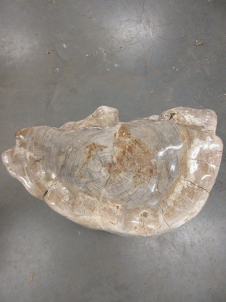 Versteend hout - Lichtbruin - Versteend hout - 70x50x30 cm - Afbeelding 3