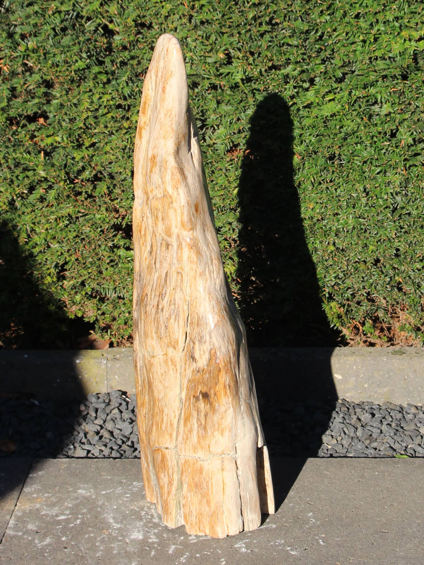 Versteend hout - Versteend hout - 70x25x13 cm - Afbeelding 2