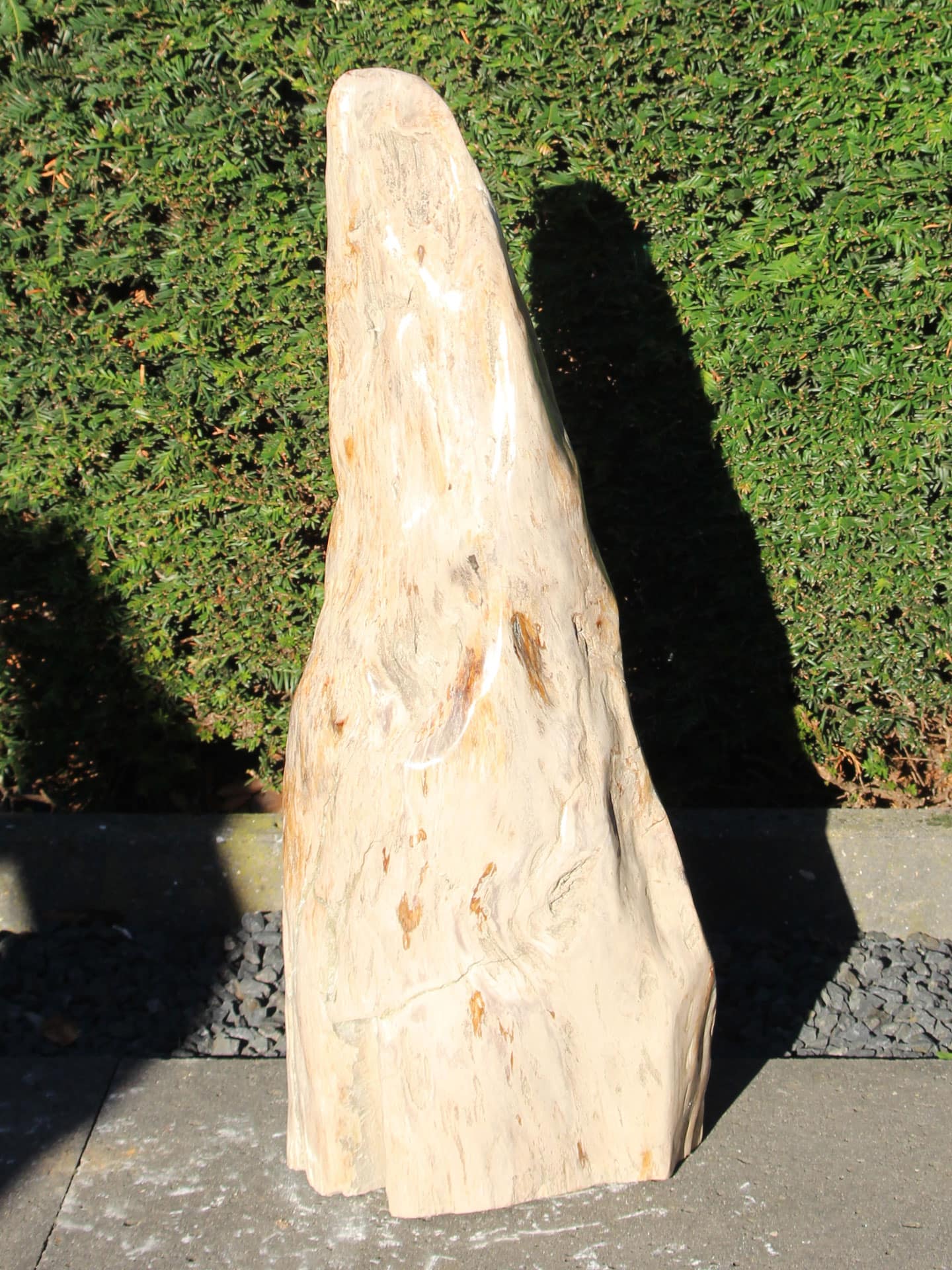 Versteend hout - Versteend hout - 70x25x13 cm - Afbeelding 3