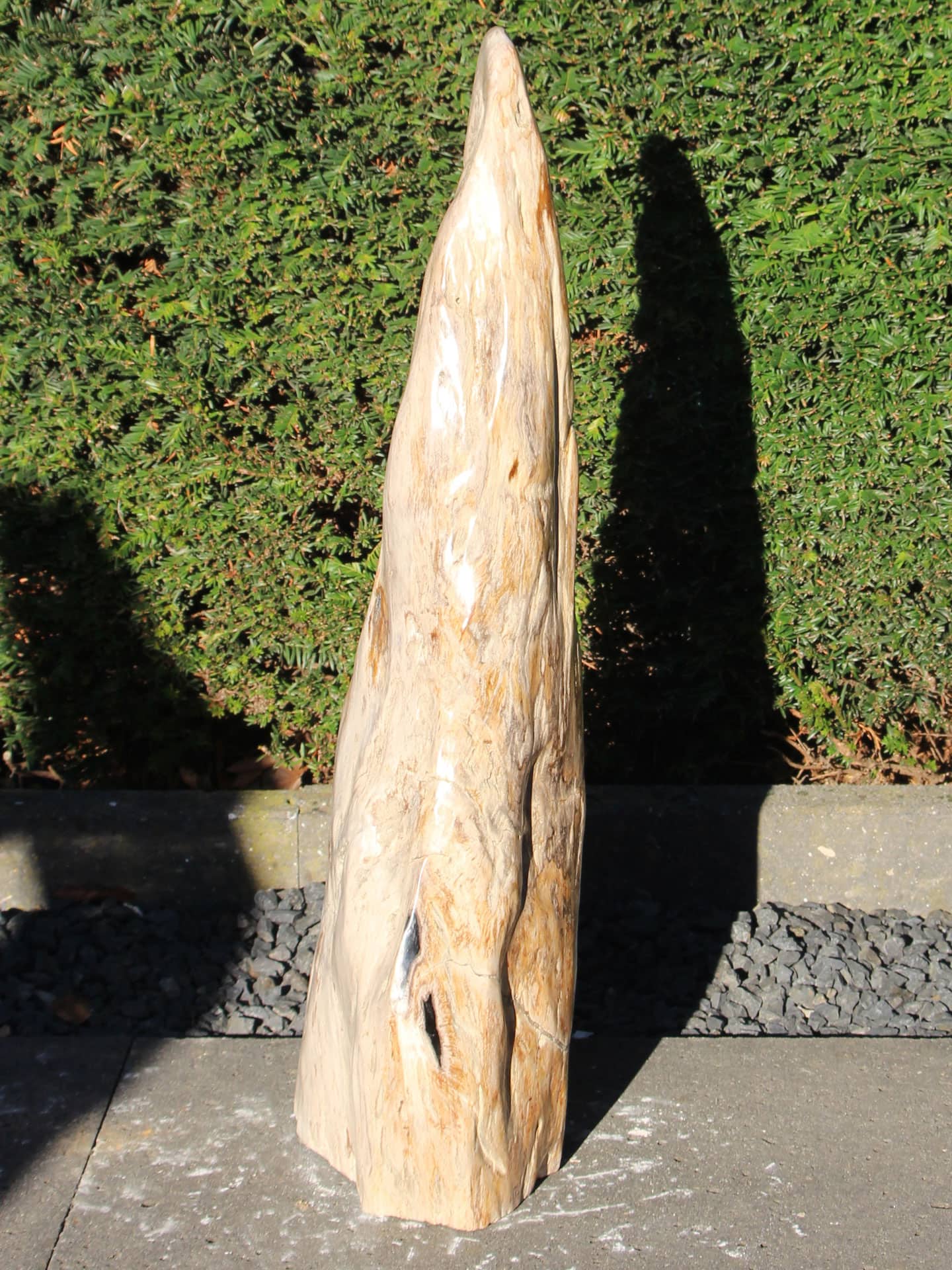 Versteend hout - Versteend hout - 70x25x13 cm - Afbeelding 4