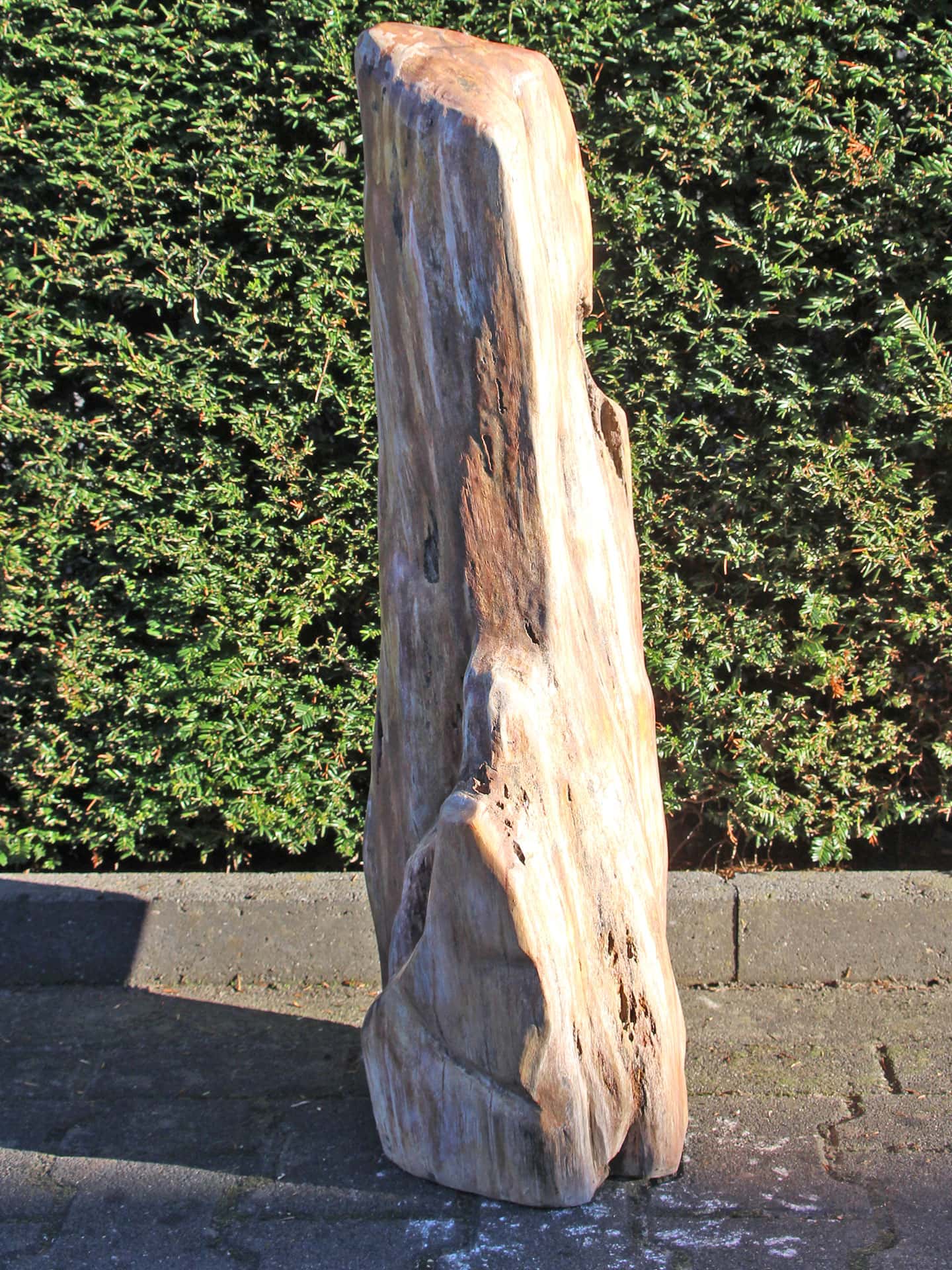 Versteend hout - Versteend hout - 78x31x20 cm - Afbeelding 2