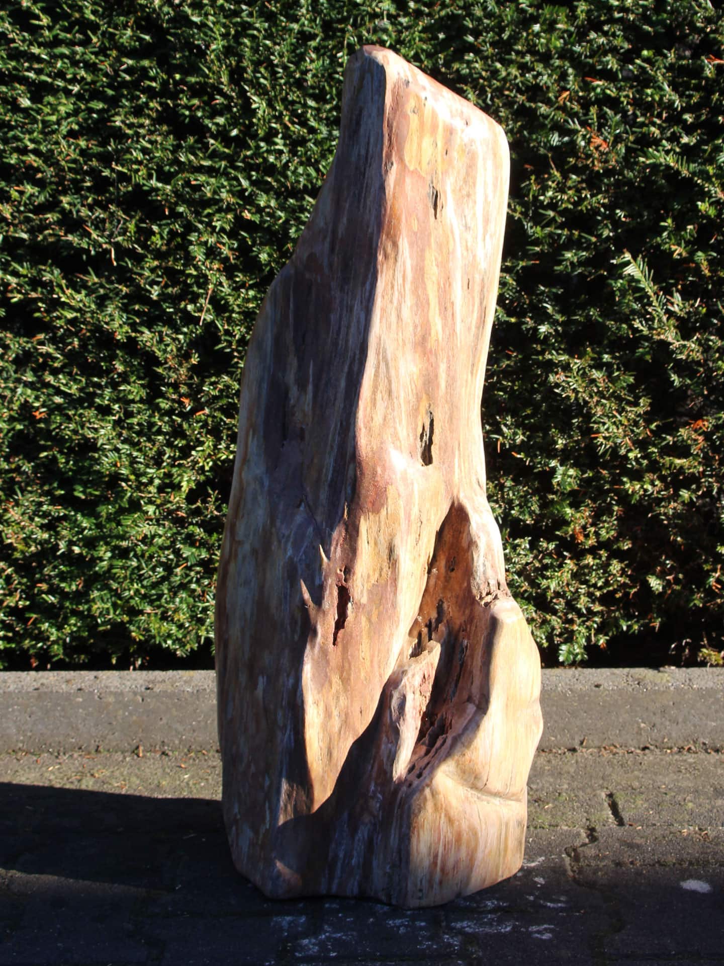 Versteend hout - Versteend hout - 78x31x20 cm - Afbeelding 3