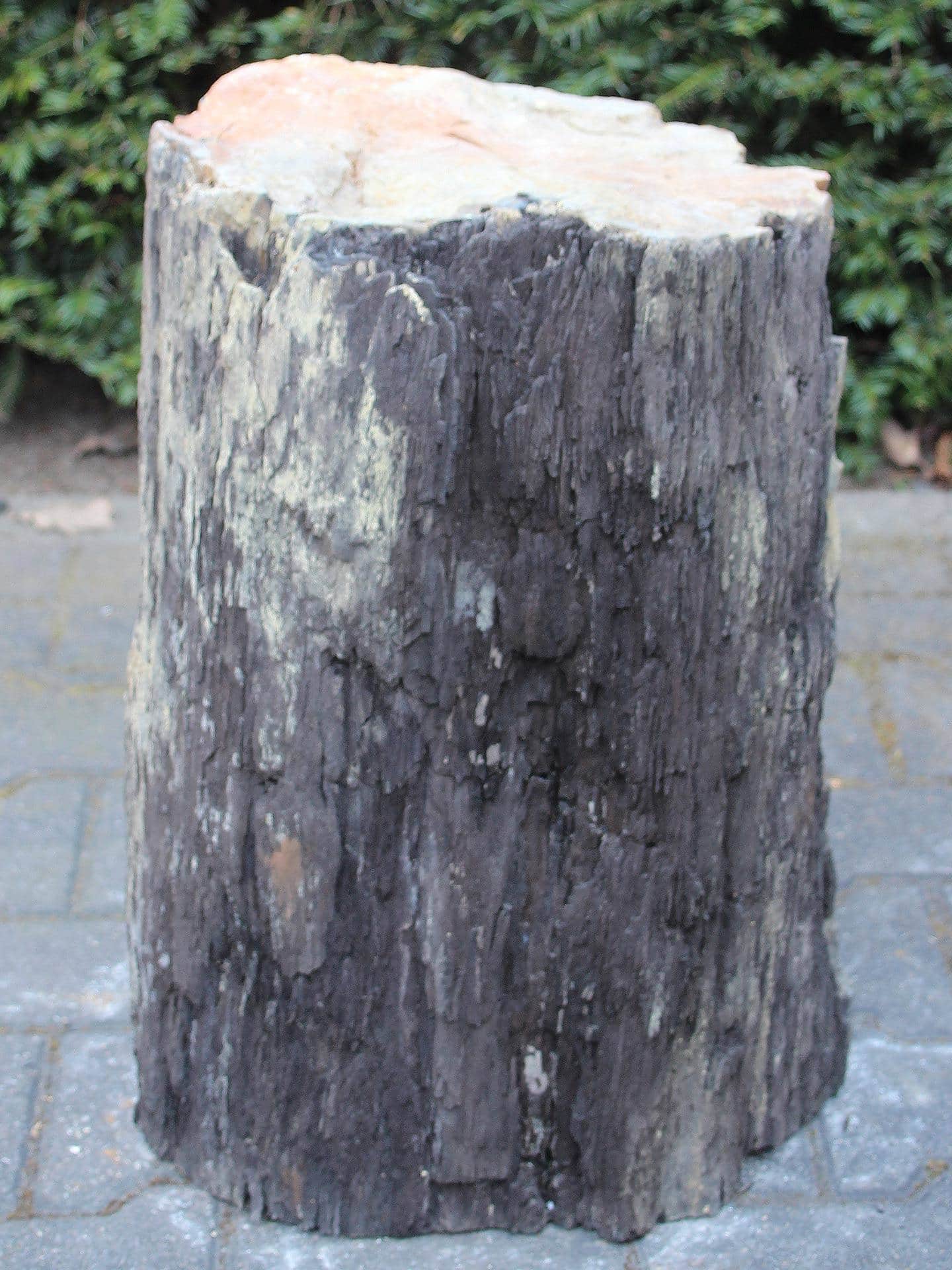 Versteend hout - Zwart - Versteend hout - 53x32x20 cm - Afbeelding 3