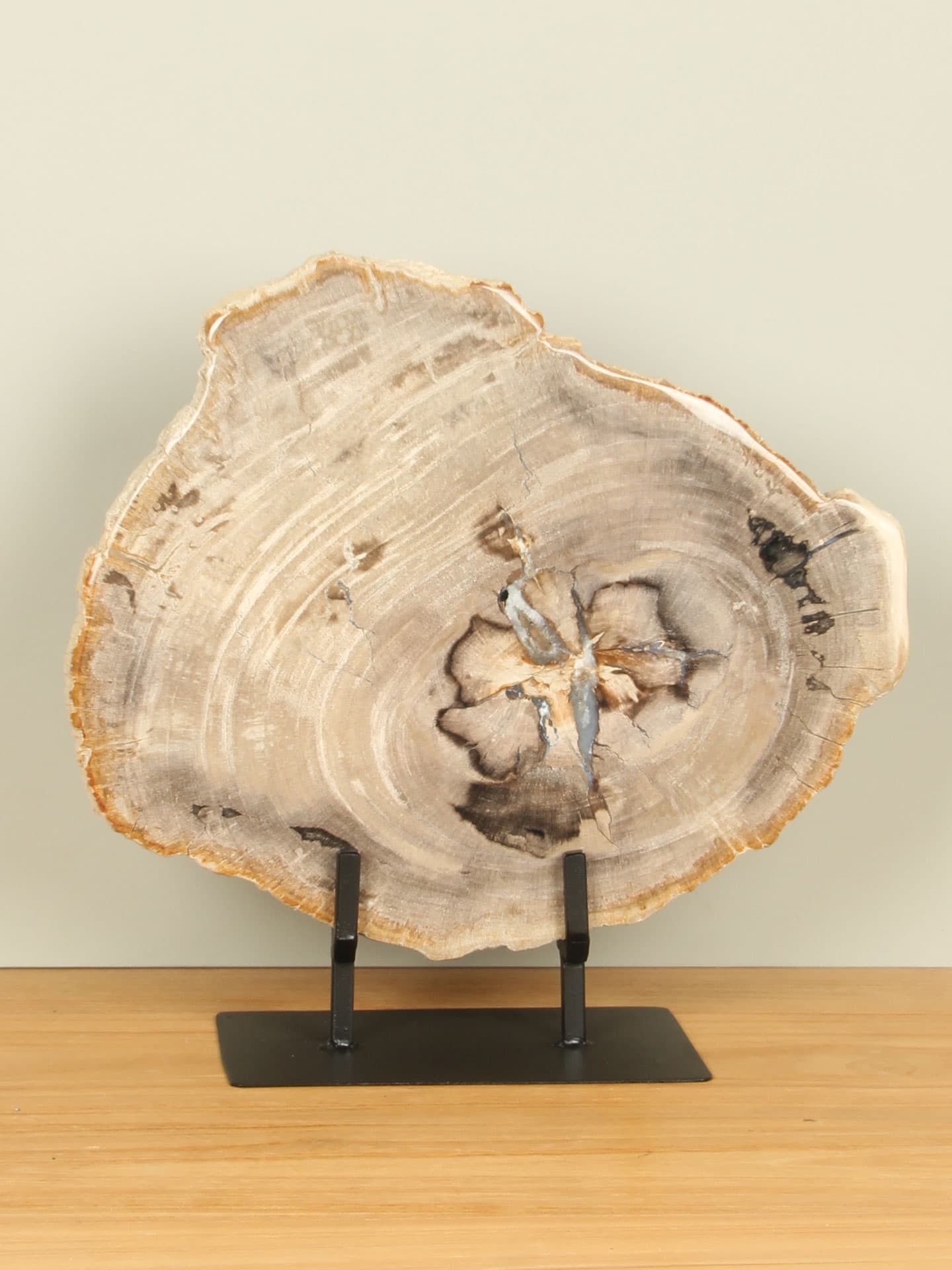 Versteend hout voor binnen - Versteend hout - Schijf op standaard nr. 21 - 35x35x3 cm