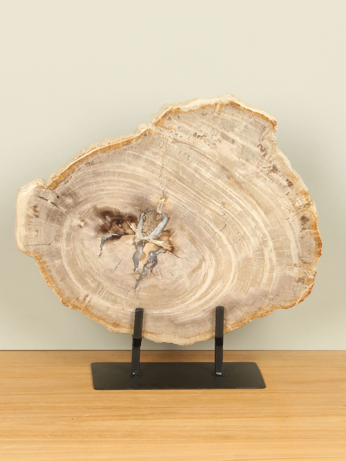 Versteend hout voor binnen - Versteend hout - Schijf op standaard nr. 21 - 35x35x3 cm - Afbeelding 3