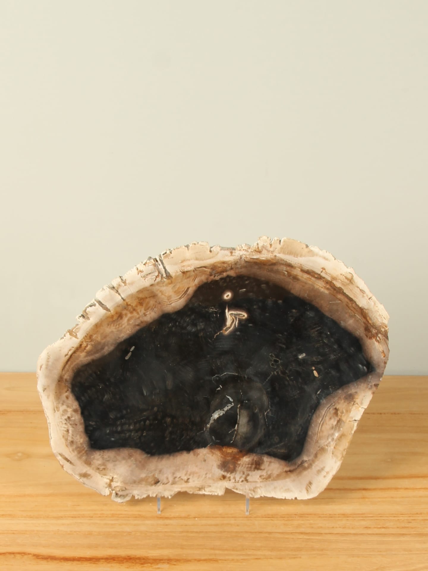 Fruitschaal - Zwart - Versteend hout - 25 cm