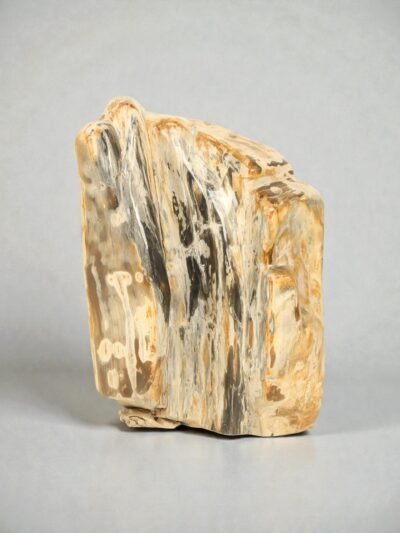 Versteend hout – Versteend hout – 38x15x28 cm