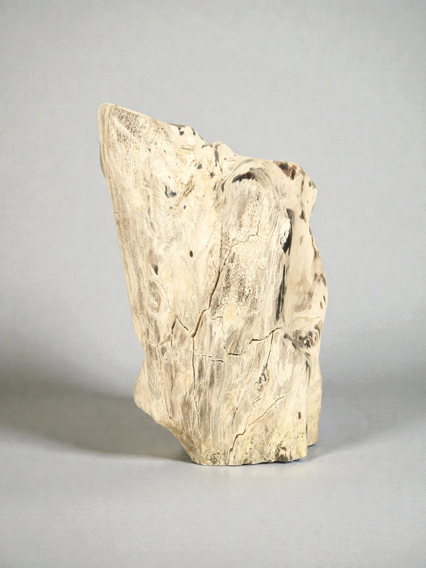 Versteend hout - Versteend hout - 45x30x20 cm