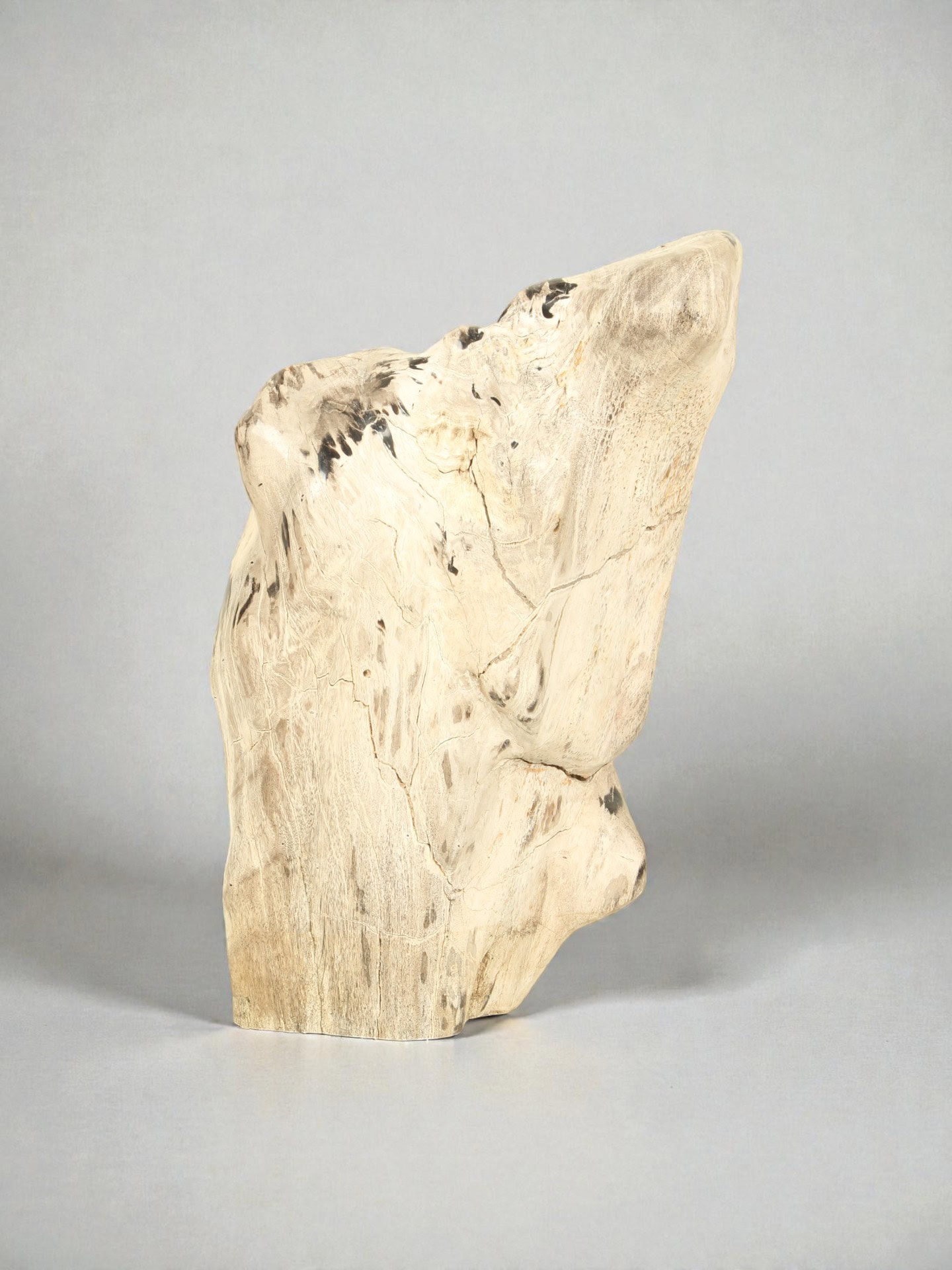 Versteend hout - Versteend hout - 45x30x20 cm - Afbeelding 3