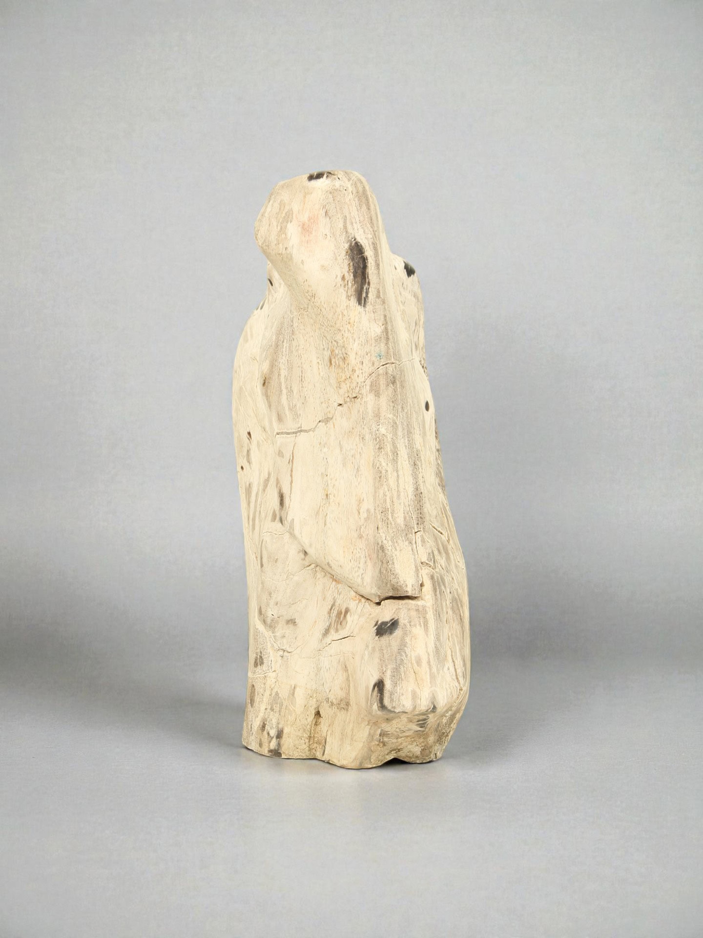 Versteend hout - Versteend hout - 45x30x20 cm - Afbeelding 4