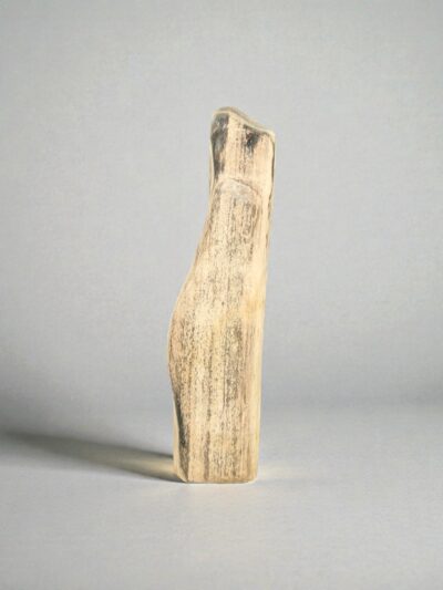 Versteend hout – Versteend hout – 51x13x10 cm