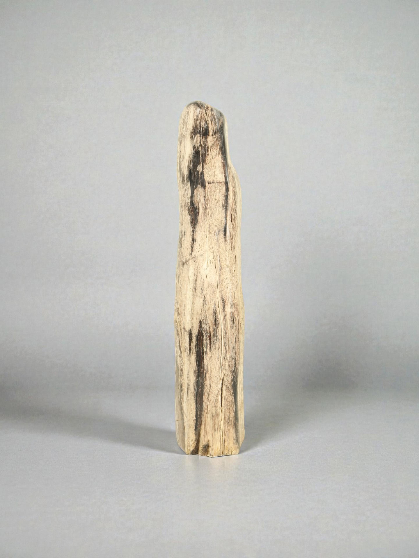 Versteend hout - Versteend hout - 51x13x10 cm - Afbeelding 4