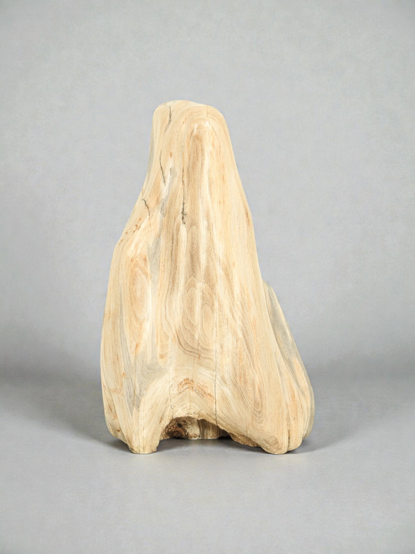Versteend hout - Versteend hout - 52x20x25 cm