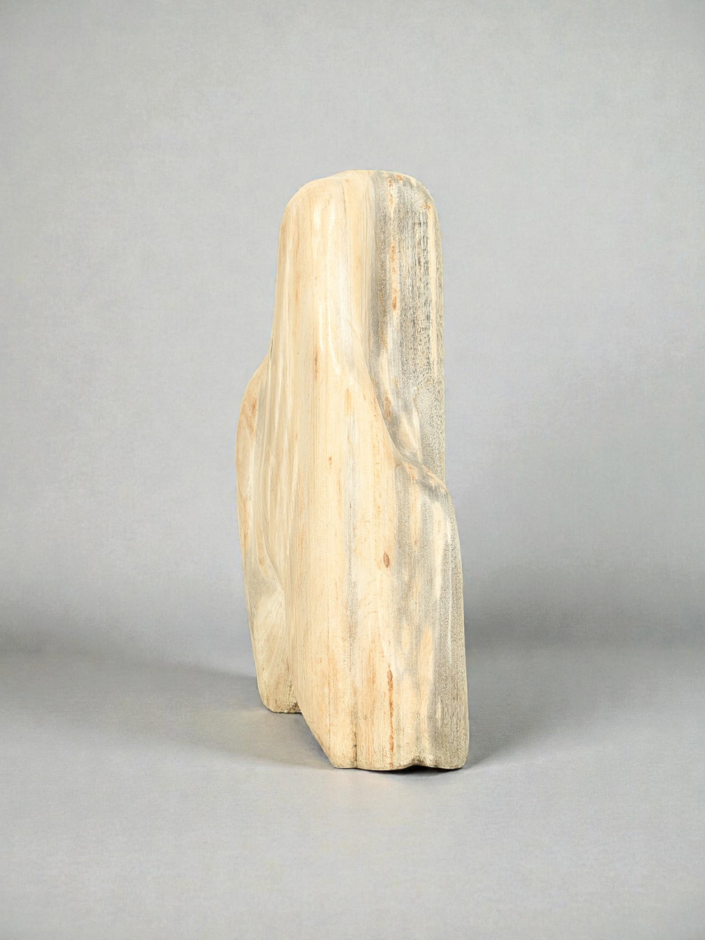 Versteend hout - Versteend hout - 52x20x25 cm - Afbeelding 2