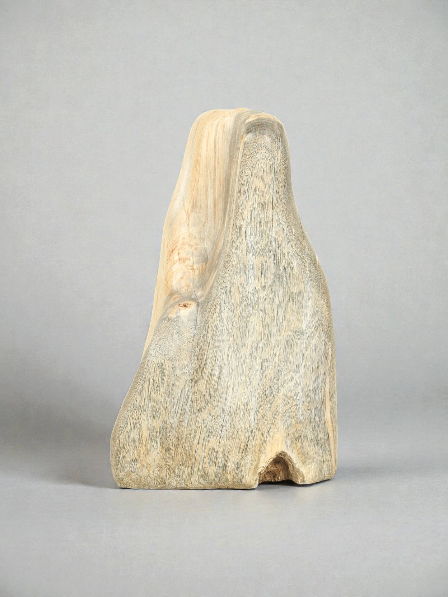 Versteend hout - Versteend hout - 52x20x25 cm - Afbeelding 3