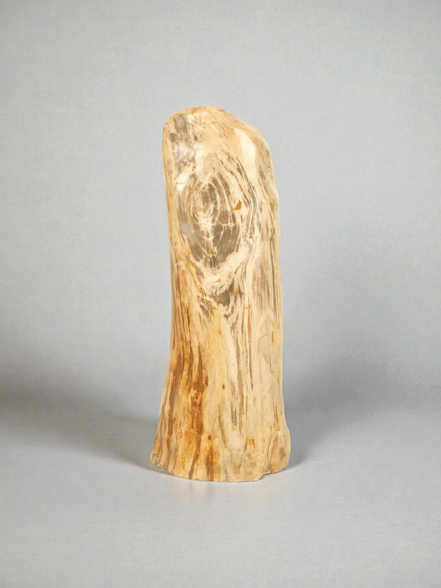 Versteend hout - Versteend hout - 90x35x30 cm
