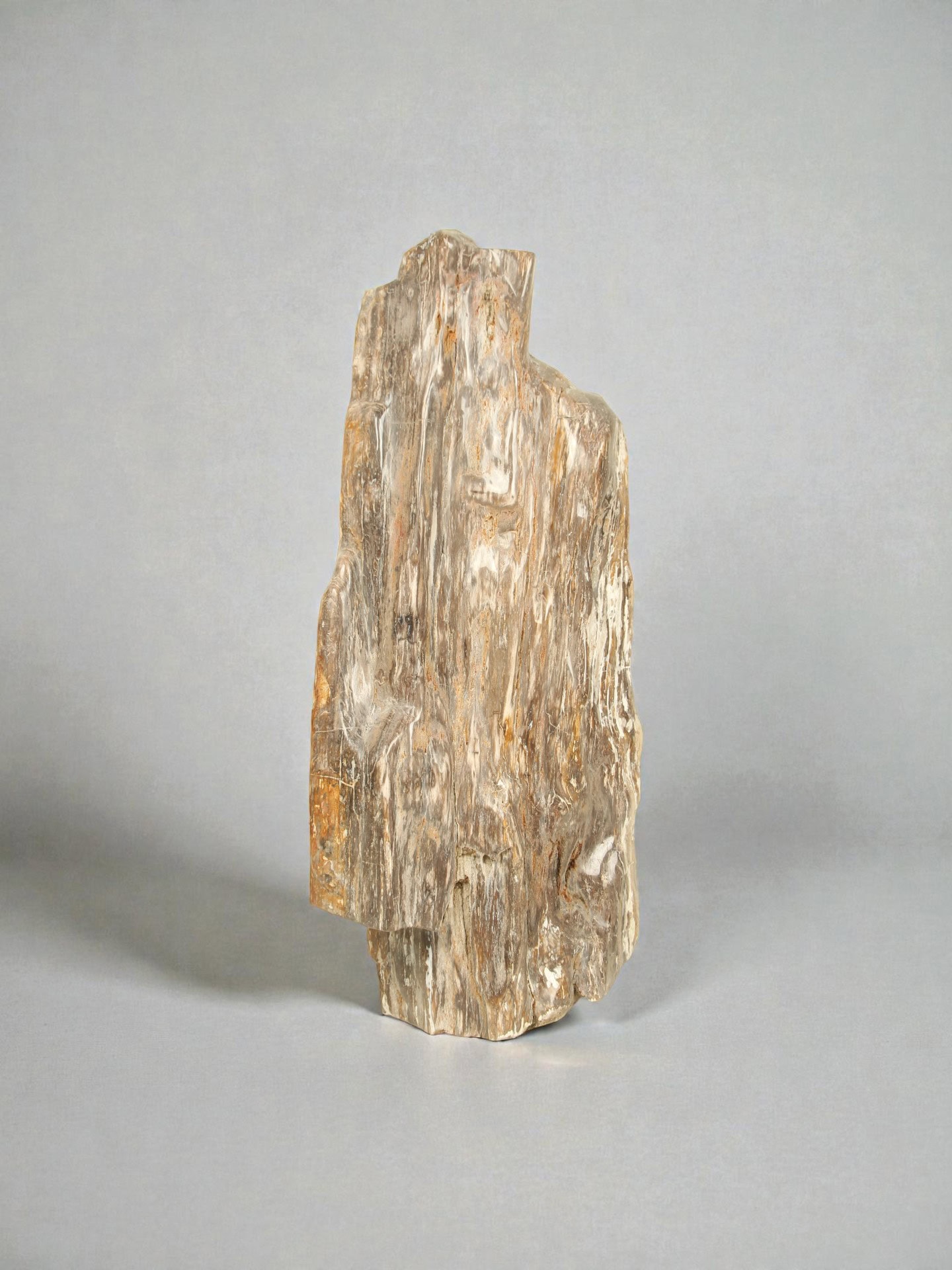 Versteend hout - Versteend hout - 90x40x20 cm