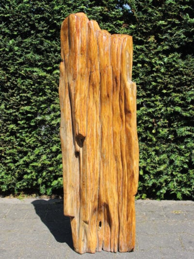 Versteend hout – Versteend hout – 101x35x22 cm
