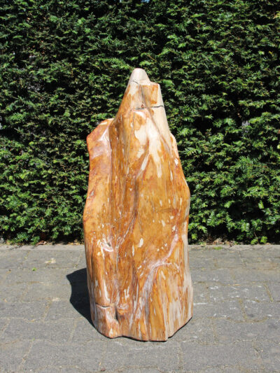 Versteend hout – Versteend hout – 74x33x28 cm