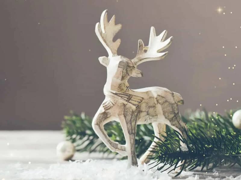 The magic of Christmas and Hogmanay