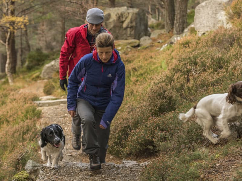 Our Favourite Walks near Loch Ness