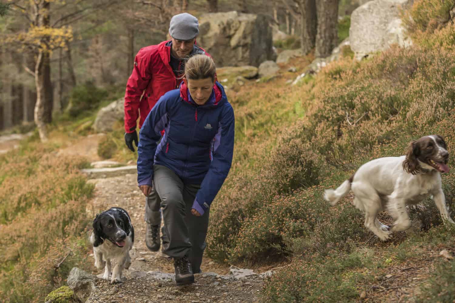 Our Favourite Walks near Loch Ness