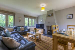 Bright living room with large windows, modern furnishings, and a cozy fireplace at Highland Club Sco.