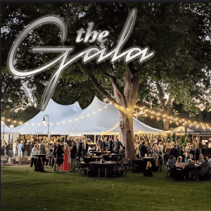 Elegant outdoor gala event under large trees with string lights at The History Museum.