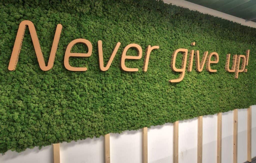 Chris-veith-mediaworld, feb. 16, 2019-39 Green Moss Wall With Motivational Quote 'Never Give Up!'.