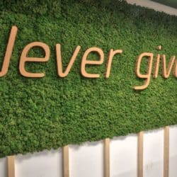 Green Moss Wall With Motivational Quote 'Never Give Up!'.