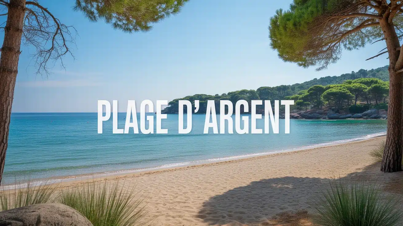 Plage d Argent sable blanc eau turquoise pins