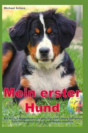 Hunderatgeber für Einsteiger – Hunde richtig verstehen