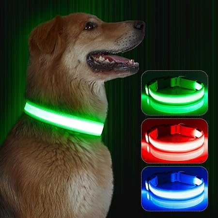 Reflektierendes Hundehalsband mit Beleuchtung