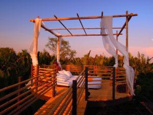 bkktreehouse_viewwitharoom-iberianpress