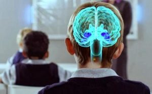 &nbsp;>thisisjustarandomplaceholder<Neurociencia - Iberianpress | Iberian Press®&nbsp;