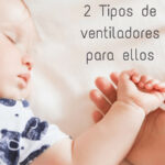 &nbsp;>thisisjustarandomplaceholder<2-Tipos-de-ventiladores-para-ellos | Iberian Press®&nbsp;