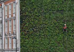  >thisisjustarandomplaceholder<5 ventajas de utilizar paredes y muros verdes en tu hogar | Iberian Press® 