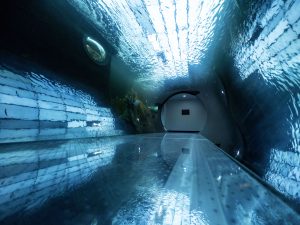 &nbsp;>thisisjustarandomplaceholder<Aquarium_1_┬®-Daniel-Baukholt-and-Philip-Genster | Iberian Press®&nbsp;