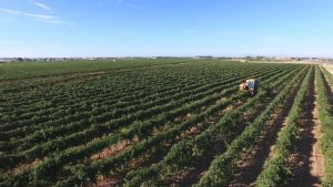 &nbsp;>thisisjustarandomplaceholder<1 | Iberian Press®&nbsp;