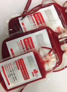 &nbsp;>thisisjustarandomplaceholder<banco-de-sangre-animal | Iberian Press®&nbsp;