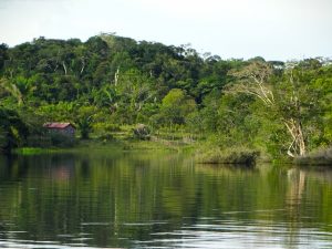 &nbsp;>thisisjustarandomplaceholder<Agua amazonas - IP | Iberian Press®&nbsp;