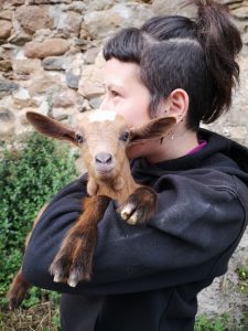 &nbsp;>thisisjustarandomplaceholder<ptr | Iberian Press®&nbsp;