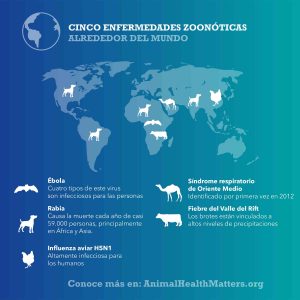 &nbsp;>thisisjustarandomplaceholder<Día-de-la-rabia-22 | Iberian Press®&nbsp;