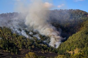  >thisisjustarandomplaceholder<Incendios australia - IP | Iberian Press® 