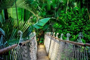 &nbsp;>thisisjustarandomplaceholder<Amazonas - IP | Iberian Press®&nbsp;