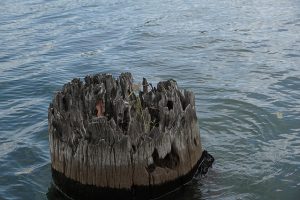 &nbsp;>thisisjustarandomplaceholder<Sequía canal panama - IP | Iberian Press®&nbsp;