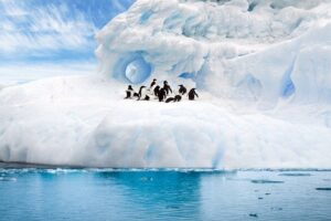  >thisisjustarandomplaceholder<glaciar-fauna-IP | Iberian Press® 